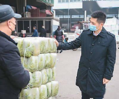 长沙新农人最新爆料,农业现代化新动向与乡村振兴新篇章